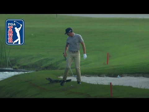 Cameron Champ’s approach shot with gator looming at Zurich Classic