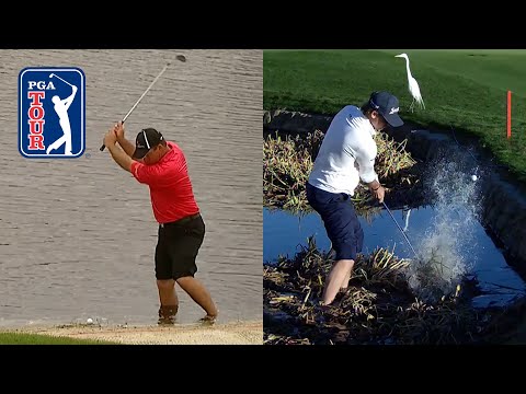 WHAT ARE THE ODDS?! | Most unique shots on the PGA TOUR
