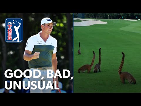 Hovland’s nasty chipping, Mayakoba monkey business & Huh’s questionable ace