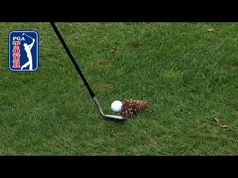 PGA Tour Highlights: 2023 BMW Championship, Round 1 | Golf Channel