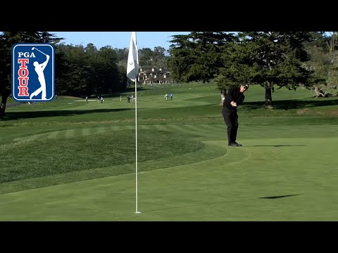 Best chips from on the green this year on the PGA TOUR | 2021